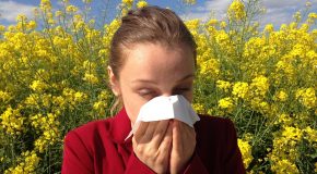 Le point sur les risques allergiques et les pollens