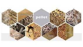 Biomasse : les agro-pellets, une alternative écologique et économique aux granulés de bois